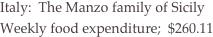 Italy:  The Manzo family of Sicily
Weekly food expenditure;  $260.11